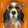 Nimmy Cool & Cute 2.0 Dog Apple iPhone 17 Pro hátlap tok, MagSafe medállal, kutya minta, narancs