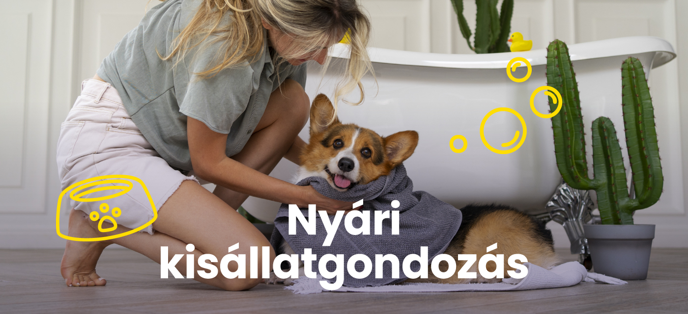 Nyári kisállatgondozás 